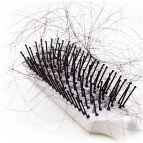 Hair Loss Miracle Solution